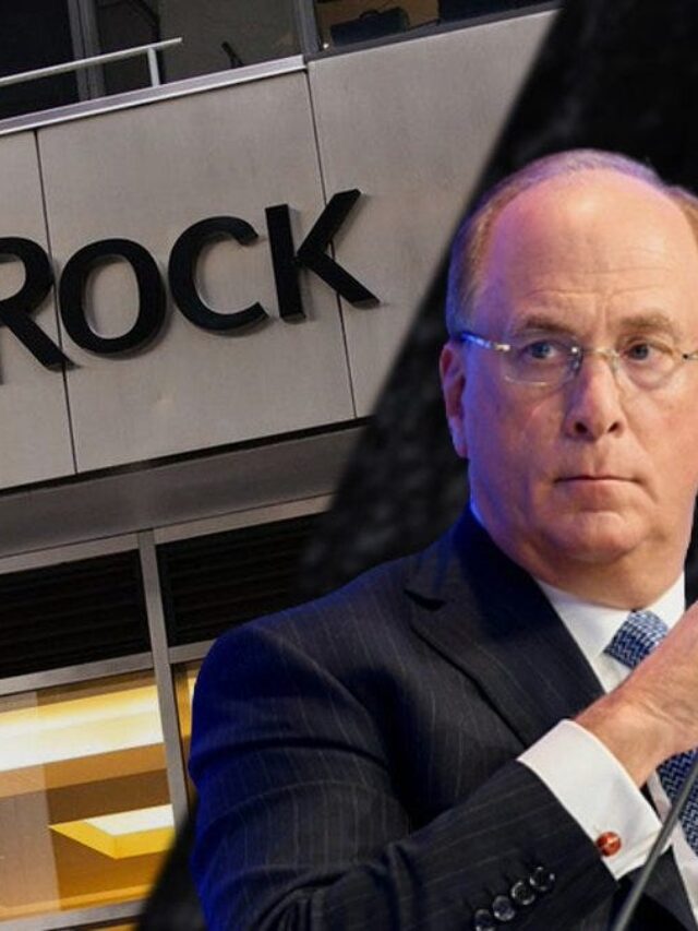 Top 10 BlackRock portfolio companies India