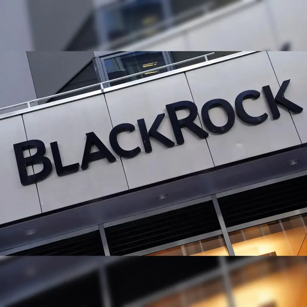 BlackRock India Stocks to Buy in 2025: Top Picks for Long-Term Growth